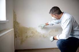 Trusted Rio Grande, NJ Mold Remediation Experts